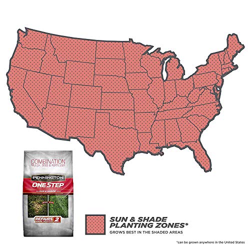 Pennington One Step Complete Sun & Shade Bare Spot Grass Seed, 10 ...