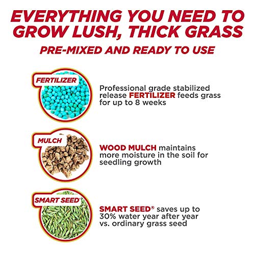 Pennington One Step Complete Sun & Shade Bare Spot Grass Seed, 10 ...