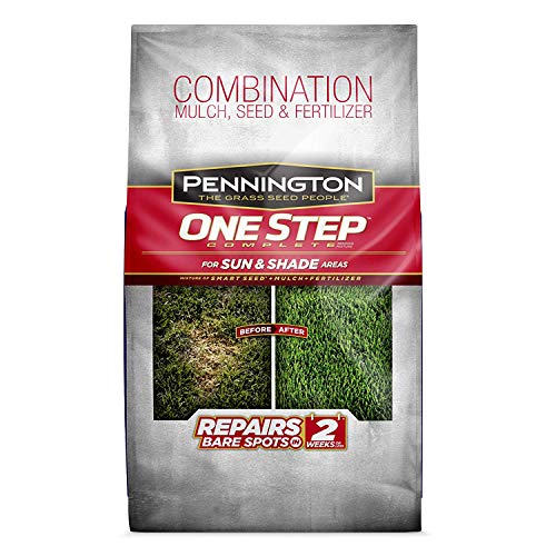 Pennington One Step Complete Sun & Shade Bare Spot Grass Seed, 10 ...