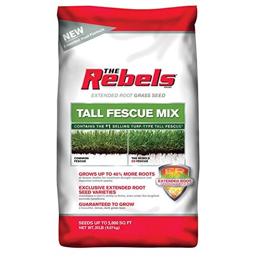 Pennington Rebel Tall Fescue Mixture Powder Coated Seed, 20 lb.