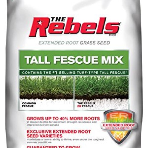 Pennington Rebel Tall Fescue Mixture Powder Coated Seed, 20 lb.
