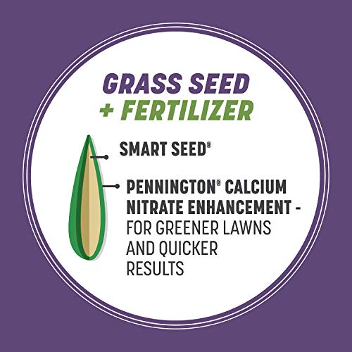 Pennington Smart Seed Dense Shade Grass Seed and Fertilizer Mix, 3...