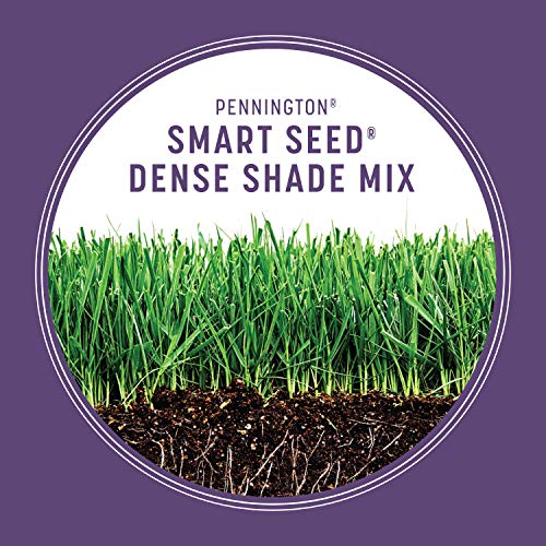 Pennington Smart Seed Dense Shade Grass Seed and Fertilizer Mix, 3...