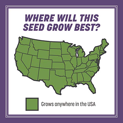 Pennington Smart Seed Dense Shade Grass Seed and Fertilizer Mix, 3...