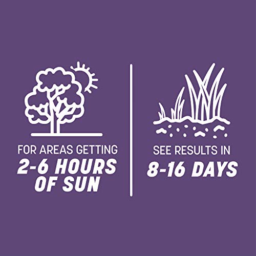Pennington Smart Seed Dense Shade Grass Seed and Fertilizer Mix, 3...