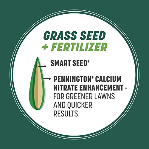 Pennington Smart Seed Southern Sun and Shade Grass Seed and Fertil...