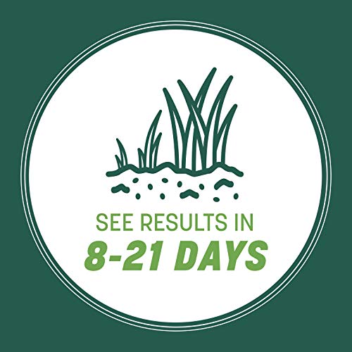 Pennington Smart Seed Southern Sun and Shade Grass Seed and Fertil...