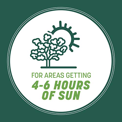Pennington Smart Seed Southern Sun and Shade Grass Seed and Fertil...
