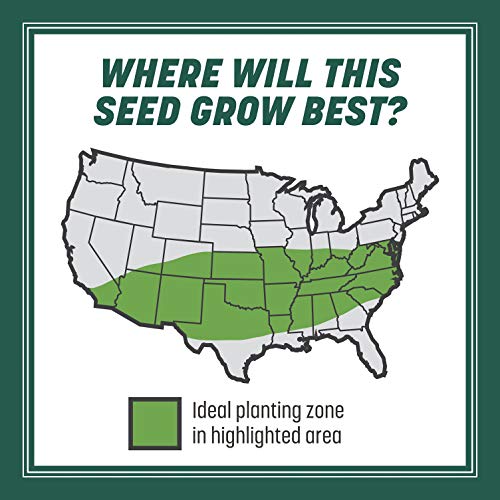 Pennington Smart Seed Southern Sun and Shade Grass Seed and Fertil...