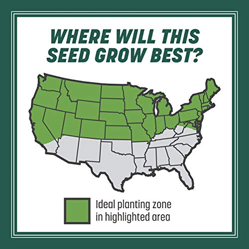 Pennington Smart Seed Sun and Shade Grass Mix 3 lb