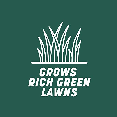 Pennington Smart Seed Sun and Shade Grass Mix 3 lb