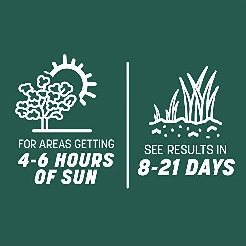 Pennington Smart Seed Sun and Shade Grass Mix 7 lb