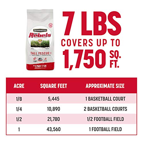 Pennington The Rebels Tall Fescue Grass Seed Blend, 7 Pounds