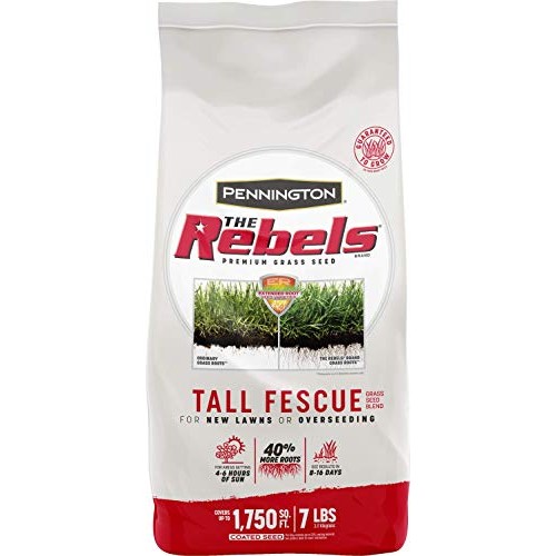 Pennington The Rebels Tall Fescue Grass Seed Blend, 7 Pounds