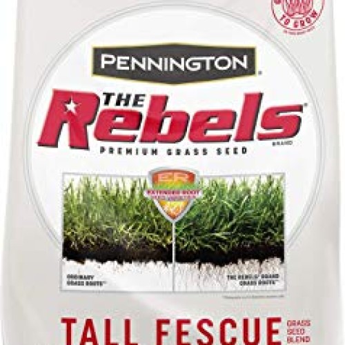 Pennington The Rebels Tall Fescue Grass Seed Blend, 7 Pounds