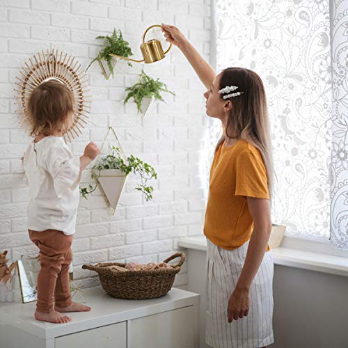 Peonyfun Long Spout Watering Can, Metal Watering Can Indoor Outdoo...