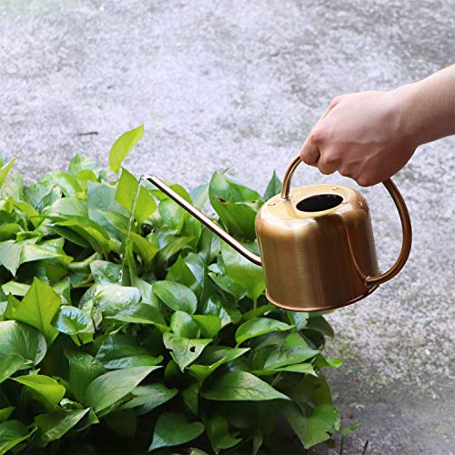 Peonyfun Long Spout Watering Can, Metal Watering Can Indoor Outdoo...
