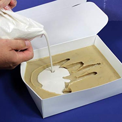 Perfect Craft Hand Mold, Cast & Paint Kit with Perfect Cast Castin...