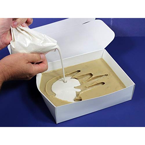 Perfect Craft Hand Mold, Cast & Paint Kit with Perfect Cast Castin...