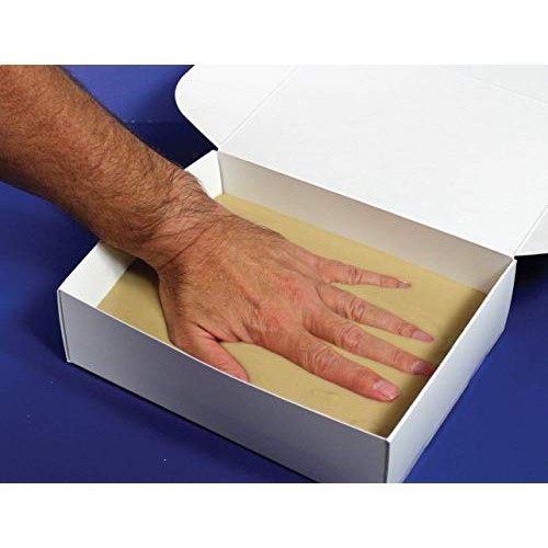 Perfect Craft Hand Mold, Cast & Paint Kit with Perfect Cast Castin...