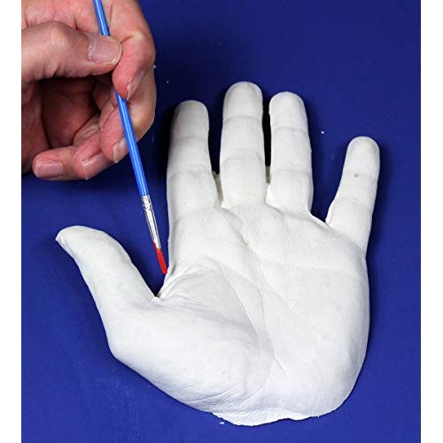 Perfect Craft Hand Mold, Cast & Paint Kit with Perfect Cast Castin...