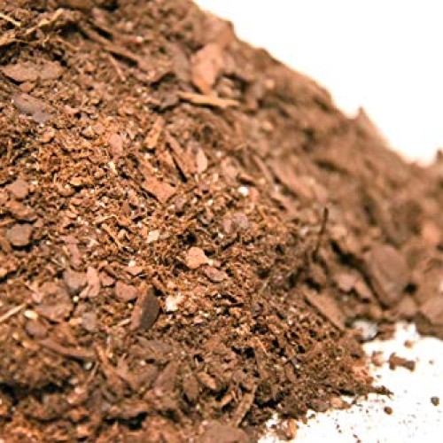 Bonsai Soil by Perfect Plants - 2qts. | Premium All-Purpose Mix | ...
