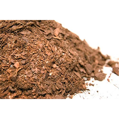 Bonsai Soil by Perfect Plants - 2qts. | Premium All-Purpose Mix | ...
