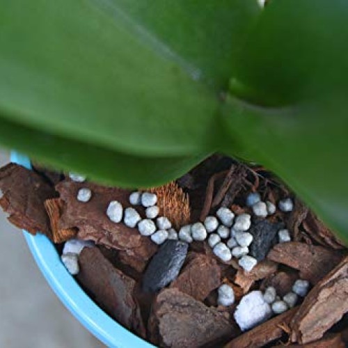 Orchid Food by Perfect Plants - Resealable 5oz. Bag - Slow Release...