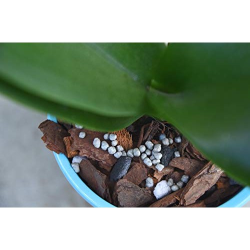 Orchid Food by Perfect Plants - Resealable 5oz. Bag - Slow Release...
