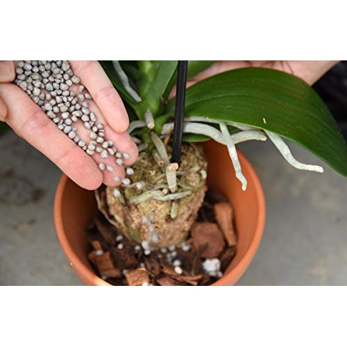 Orchid Food by Perfect Plants - Resealable 5oz. Bag - Slow Release...