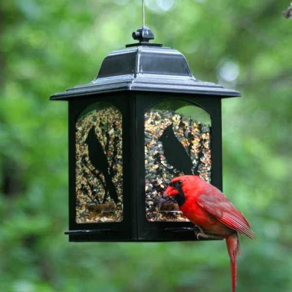 Perky-Pet 363 Birds and Berries Lantern Feeder