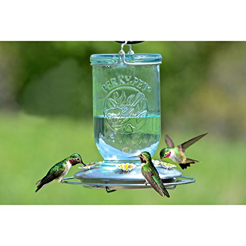 Perky-Pet 785 Mason Jar Hummingbird Feeder, Blue Mason Jar