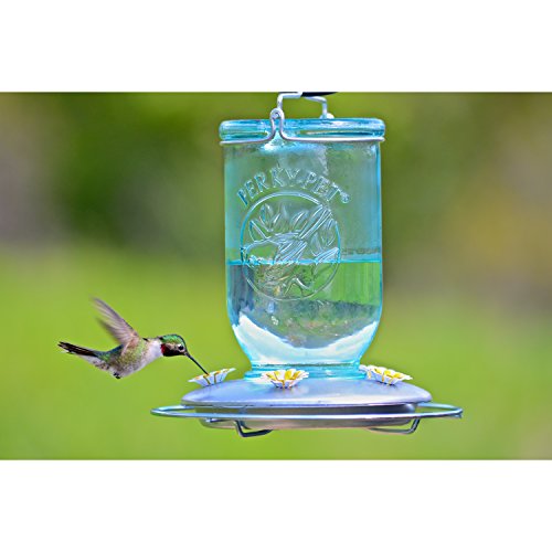 Perky-Pet 785 Mason Jar Hummingbird Feeder, Blue Mason Jar
