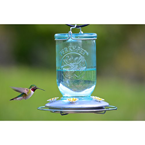 Perky-Pet 785 Mason Jar Hummingbird Feeder, Blue Mason Jar