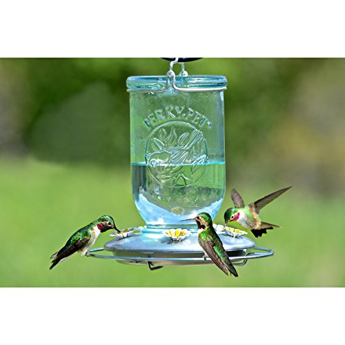 Perky-Pet 785 Mason Jar Hummingbird Feeder, Blue Mason Jar