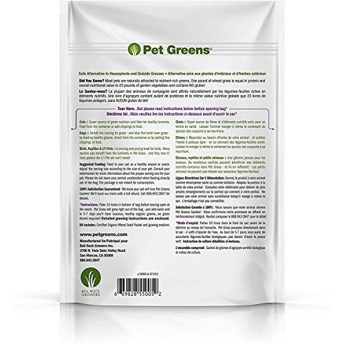 Pet Greens 4 Pack Pet Grass Garden Wheatgrass self Grow and Medley...