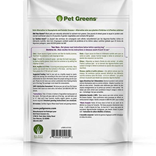Pet Greens 4 Pack Pet Grass Garden Wheatgrass self Grow and Medley...