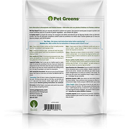 Pet Greens 4 Pack Pet Grass Garden Wheatgrass self Grow and Medley...