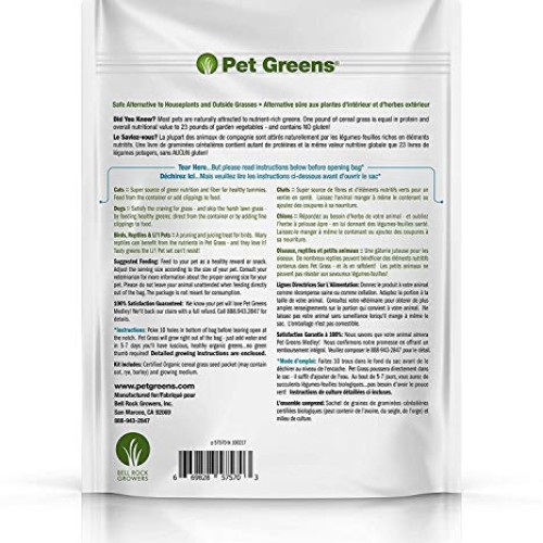 Pet Greens 4 Pack Pet Grass Garden Wheatgrass self Grow and Medley...