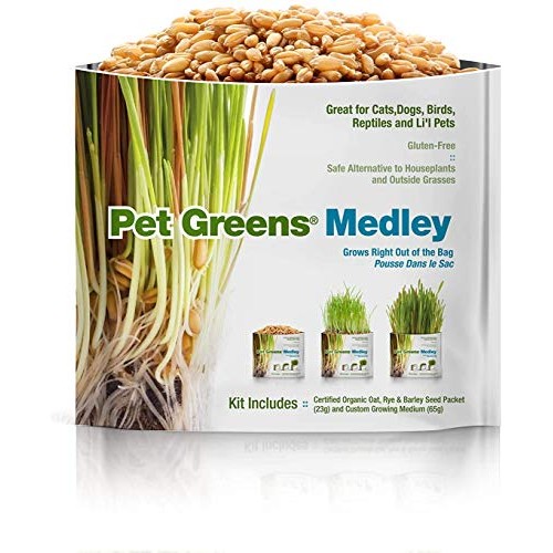 Pet Greens 4 Pack Pet Grass Garden Wheatgrass self Grow and Medley...