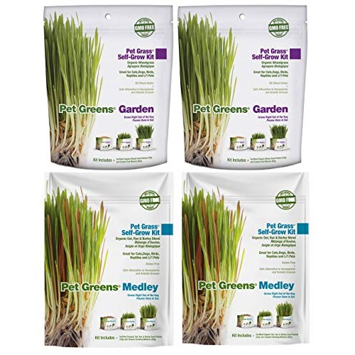 Pet Greens 4 Pack Pet Grass Garden Wheatgrass self Grow and Medley...