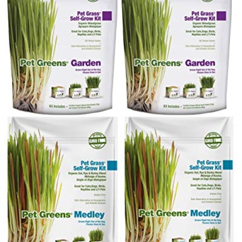 Pet Greens 4 Pack Pet Grass Garden Wheatgrass self Grow and Medley...