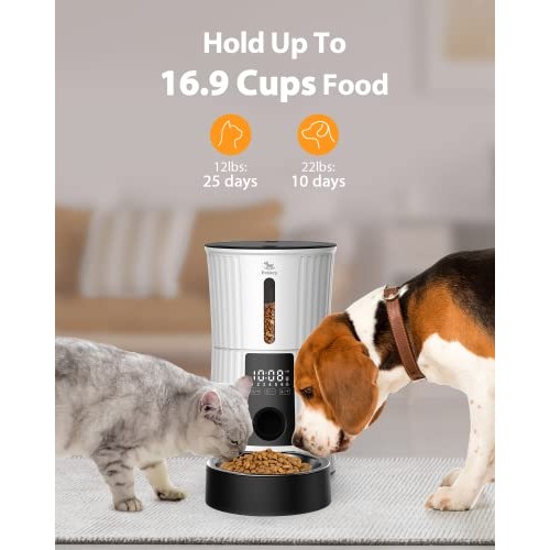 Petory Timed Automatic Cat Feeders - 4L Programable Dry Food Dispe...