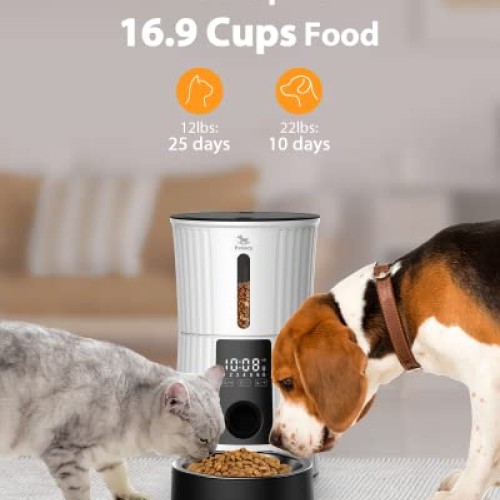 Petory Timed Automatic Cat Feeders - 4L Programable Dry Food Dispe...