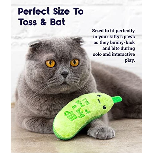Petstages Crunchy Pickle Kicker Dental Catnip Cat Toy