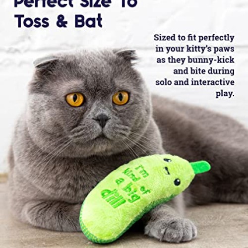 Petstages Crunchy Pickle Kicker Dental Catnip Cat Toy