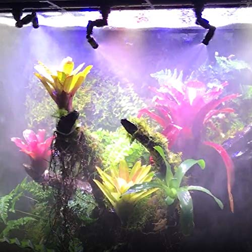 Petyoung Reptiles Fogger Mist Sprinkler Rainforest Tank 360 Adjust...