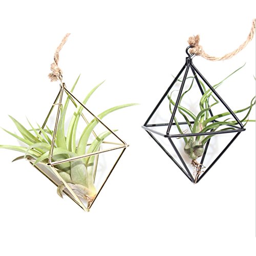 Peyan Rhombus Cube Shape Geometric Hanging Metal Air Plant Holder ...