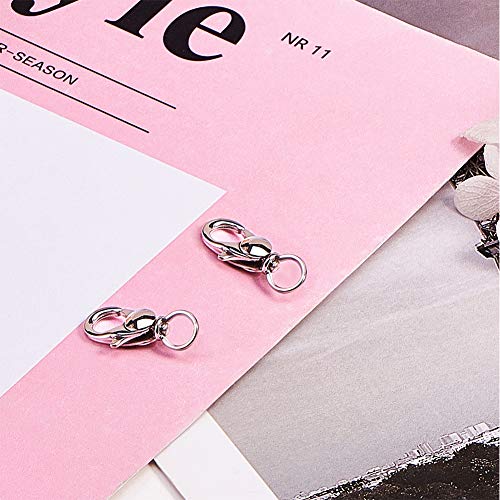 PandaHall 2 pcs 304 Stainless Steel Swivel Lobster Claw Clasps Swi...