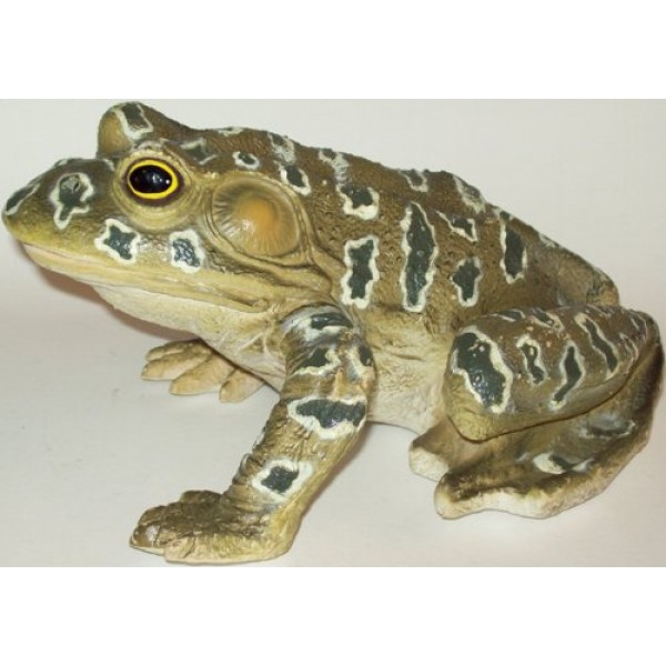 Phil Seltzer Grunting Rubber Bullfrog Amphibian Replica, 9/Large